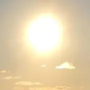 まんまる　オーダーお休みの画像