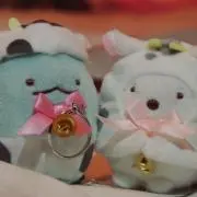 ピコの画像