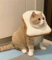 もるち‪‪★の画像