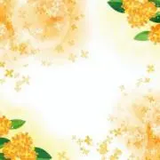 ₊°♪˚.⁺pino˖ ࣪₊°♪˚.⁺の画像