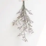 ひろの画像