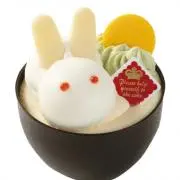 シャマルの画像