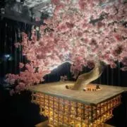 桜子。の画像