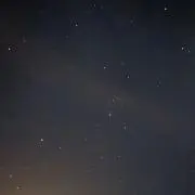まの画像