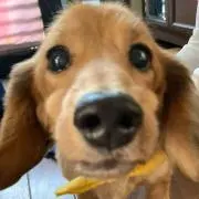 em.の画像