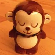 toy
