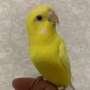 hiroの画像