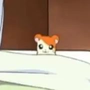 ゆの画像