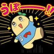 ウメちゃんの画像