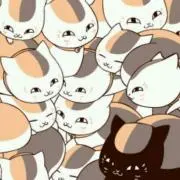 ☆黒ニャンコ☆