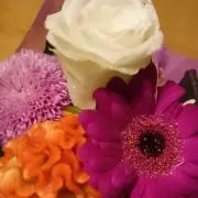 ＊ten＊の画像