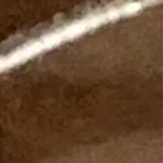 ラフなかいものの画像