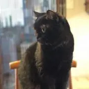 ナッツ プロフィール必読