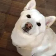 ゆう子の画像