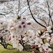China❤︎の画像