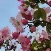 ゆーの画像