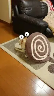 内藤ゴン太の画像