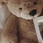 yの画像