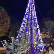 ぽぽぽの画像