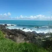 ☆Aotearoa☆の画像