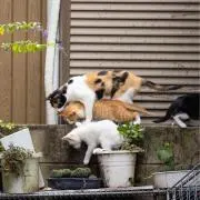 わわわ