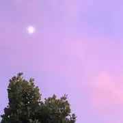 にぼしの画像