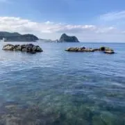 にゃんの画像