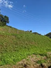 やがすの画像