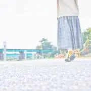 椎の画像