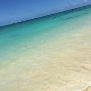 ✽アルぽん✽ஐ✯♡の画像