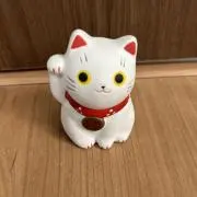 kazuの画像