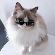 -ｒａｌｕ-の画像