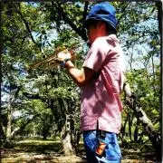 シゲ【売れ残りはまとめて処分】の画像