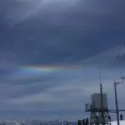 たいしょーの画像