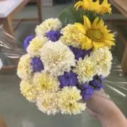 エソラの画像