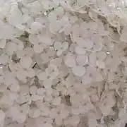 taro-oneの画像