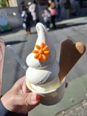 iwasiyaの画像