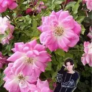 めぐ      ※プロフ必読※の画像