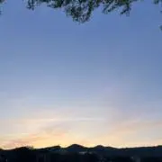 ここの画像