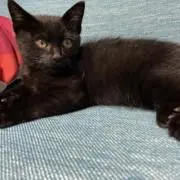 Yukiの画像