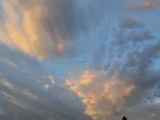 みみの画像