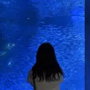 きなこの画像