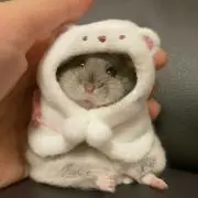 あんこ
