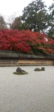 ぴよこん　（プロフ必読！断捨離中！）