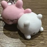 ぴんの画像