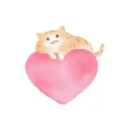 ねこママ