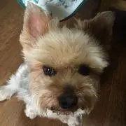 nanaママ