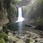 相談可  ふかしの画像