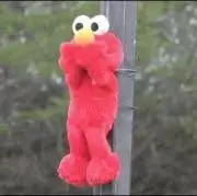 mo