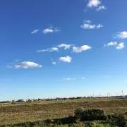 モデレートの画像
